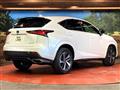 2020 Lexus NX