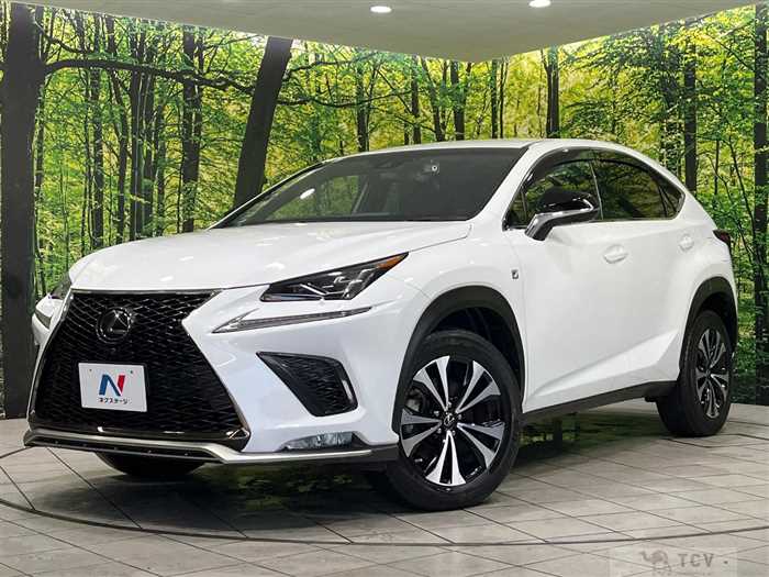 2018 Lexus NX
