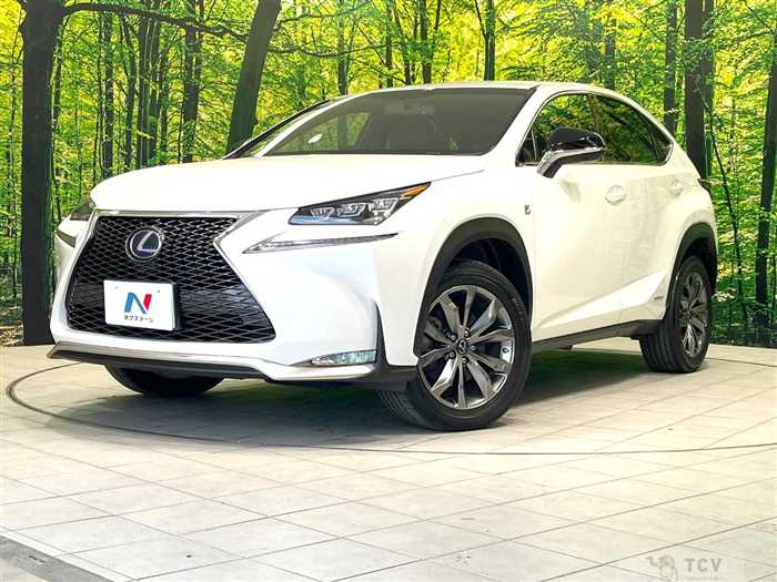 2015 Lexus NX