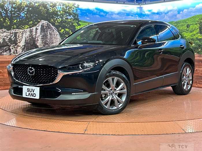 2022 Mazda Mazda Others