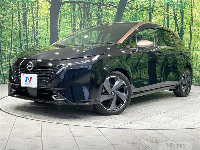 2021 Nissan Nissan Others