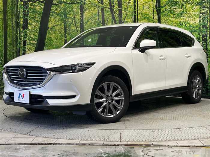 2019 Mazda CX-8