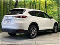 2019 Mazda CX-8