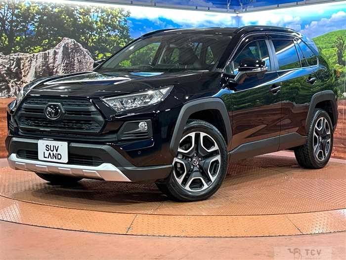 2019 Toyota RAV4