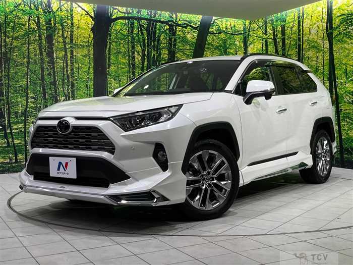 2019 Toyota RAV4