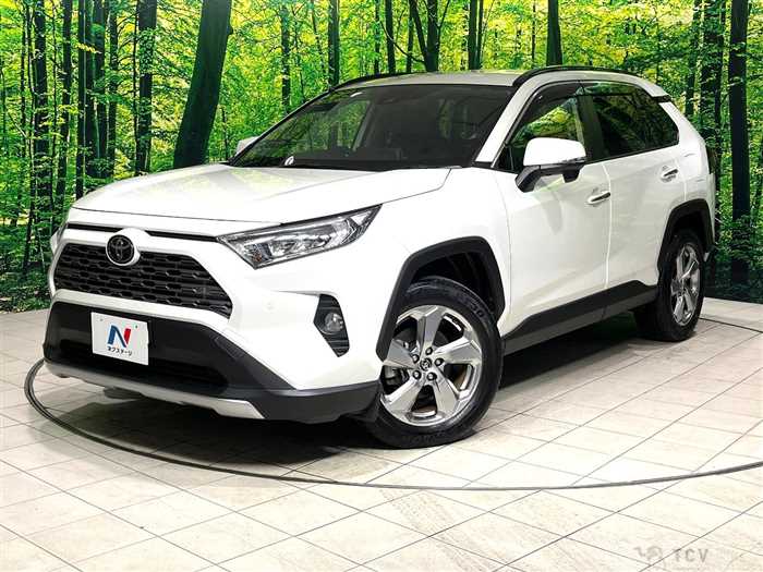 2019 Toyota RAV4