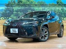2020 Lexus Other