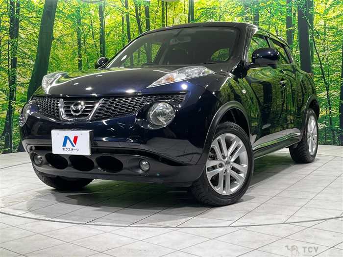 2013 Nissan Juke