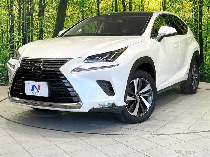 2018 Lexus NX