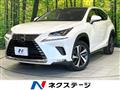 2018 Lexus NX
