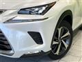 2018 Lexus NX