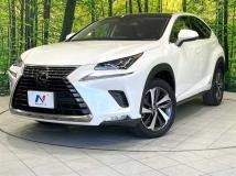 2018 Lexus NX