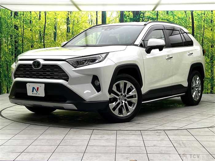 2019 Toyota RAV4