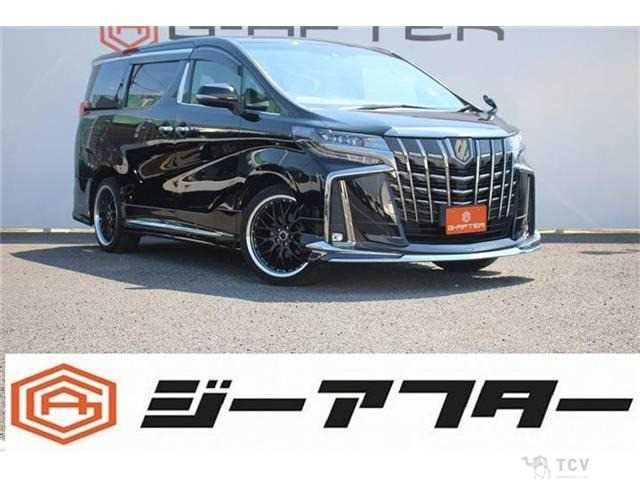 2020 Toyota Alphard G