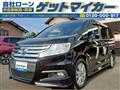 2010 Honda Step WGN