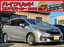 2015 Other All Other All