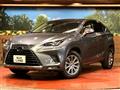 2019 Lexus NX