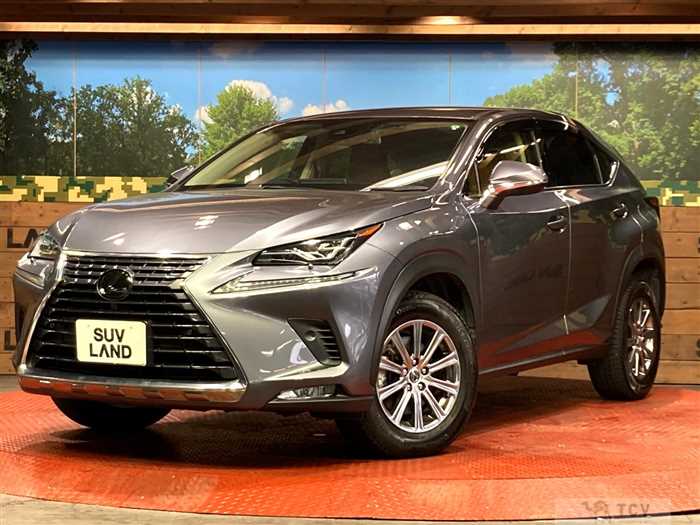 2019 Lexus NX