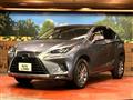 2019 Lexus NX