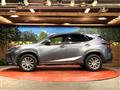2019 Lexus NX