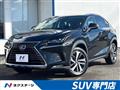 2019 Lexus NX