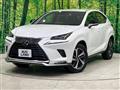 2020 Lexus NX