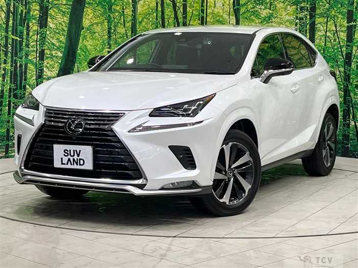2020 Lexus NX