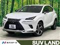 2020 Lexus NX