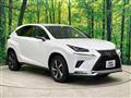 2020 Lexus NX