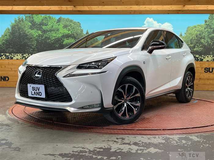 2014 Lexus NX