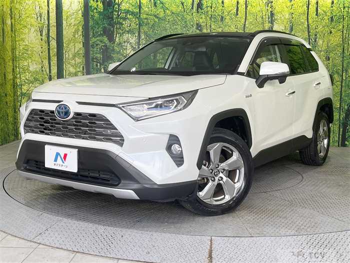 2019 Toyota RAV4