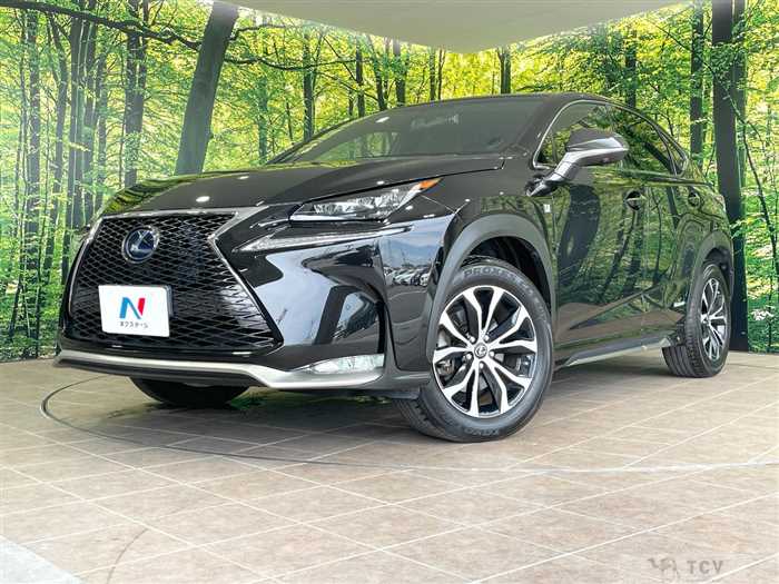 2014 Lexus NX