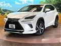 2021 Lexus NX
