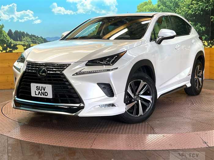 2021 Lexus NX