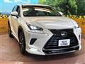 2021 Lexus NX