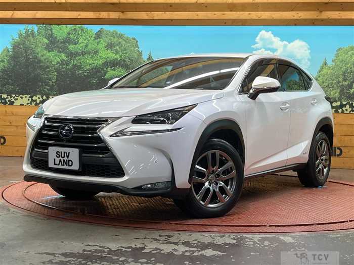 2014 Lexus NX