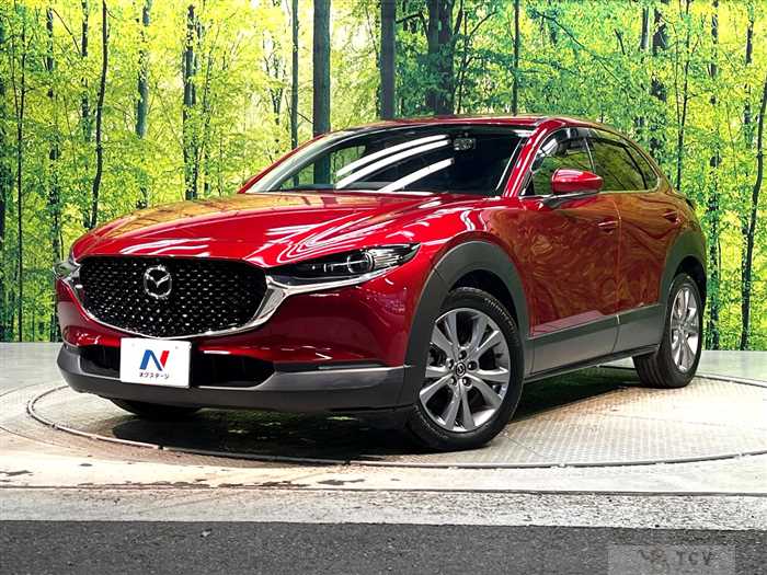 2019 Mazda Mazda Others