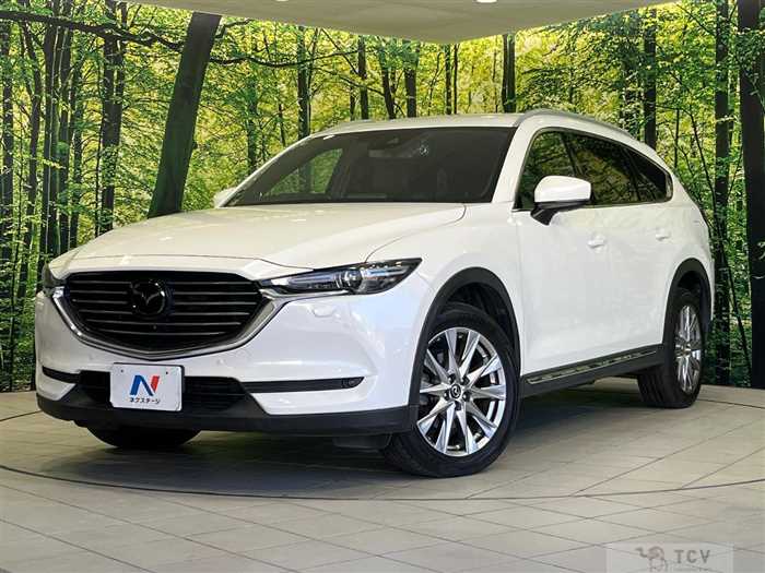 2018 Mazda CX-8