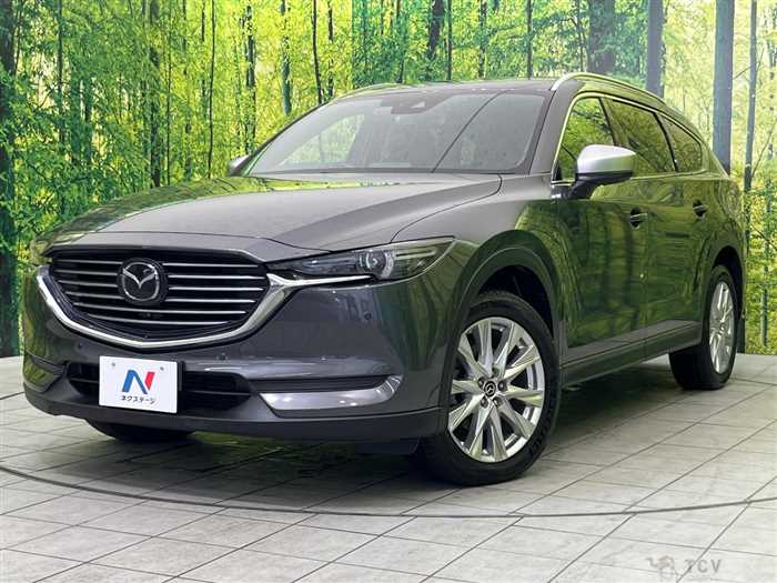 2018 Mazda CX-8