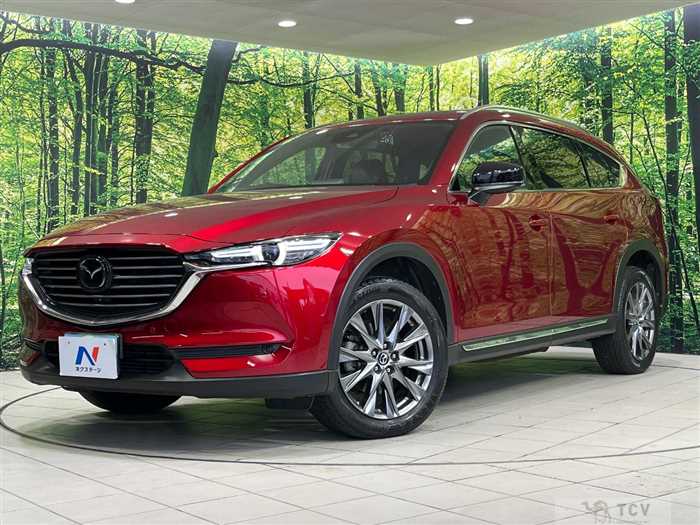2019 Mazda CX-8