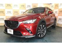 2018 Other All Other All