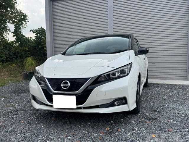 2019 Nissan Nissan Others