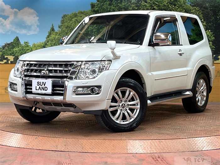 2015 Mitsubishi Pajero