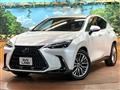 2024 Lexus NX