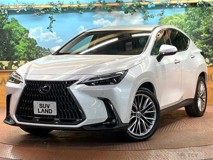 2024 Lexus NX