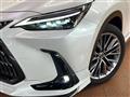 2023 Lexus NX