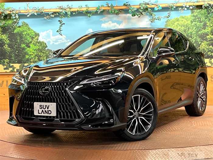 2024 Lexus NX