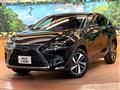2019 Lexus NX