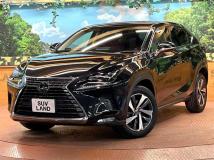2019 Lexus NX