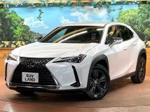 2019 Lexus Other